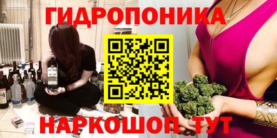бошки Камышлов